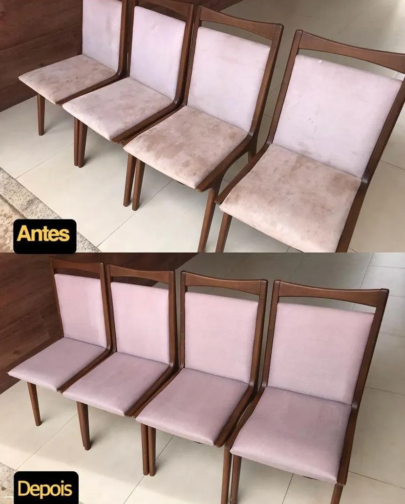 Higienização em Couro